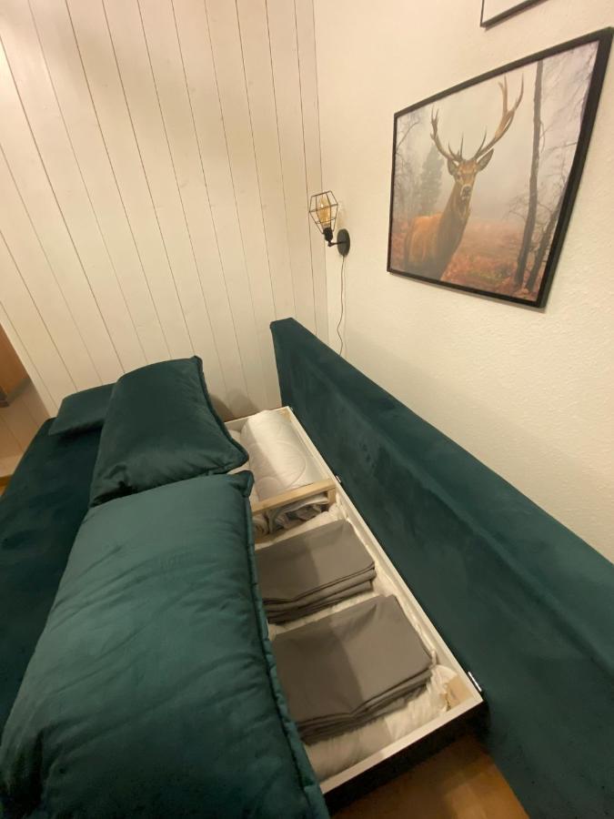 פלדברג Apartment Am Wasserfall Mit Sauna & Top-Lage מראה חיצוני תמונה